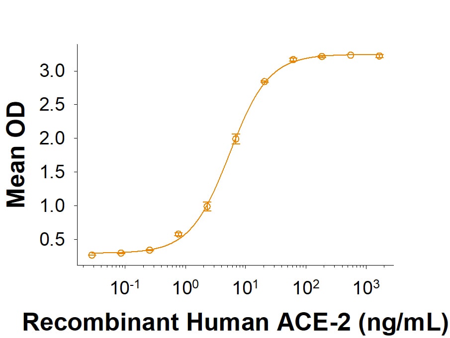 Recombinant SARS-CoV-2 Spike RBD Fc Chimera Protein Bioactivity