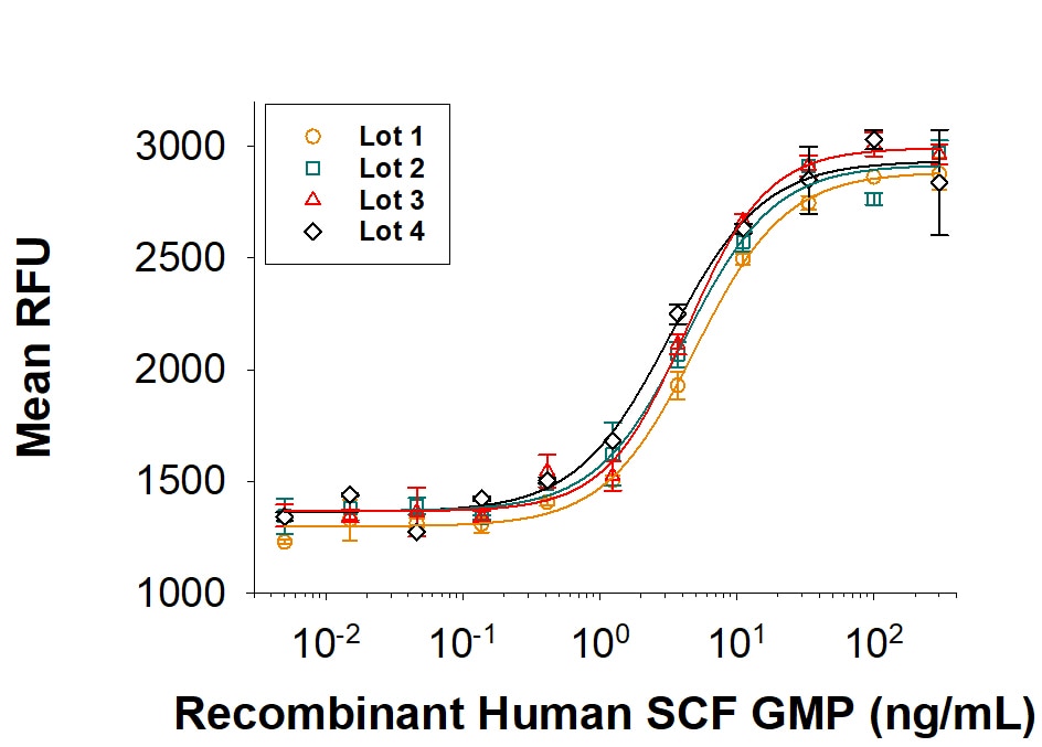 Recombinant Human SCF GMP Protein Bioactivity