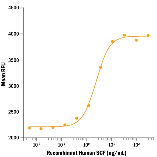 ProDots Recombinant Human SCF/c-kit Ligand Protein Bioactivity