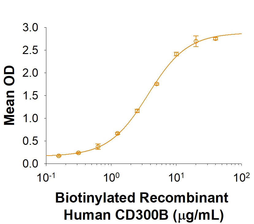 Recombinant Human SIRP beta 2 Fc Chimera Protein Binding Activity