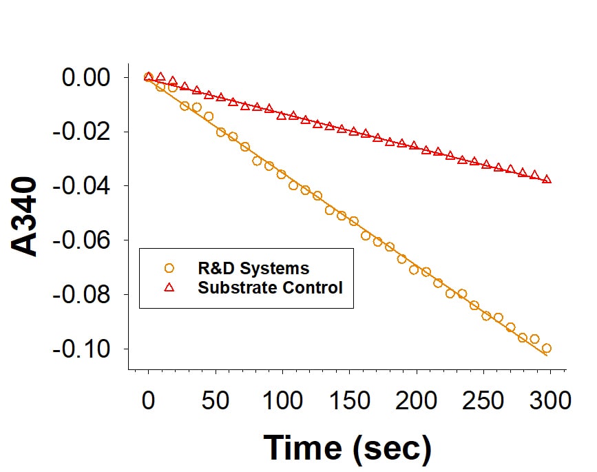 Recombinant Human SPR His-tag Protein Enzyme Activity