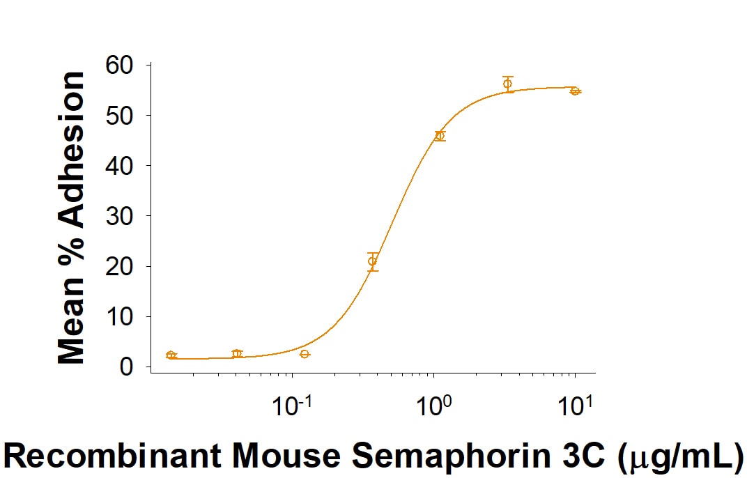 Recombinant Mouse Semaphorin 3C Fc Chimera (Truncated) Bioactivity