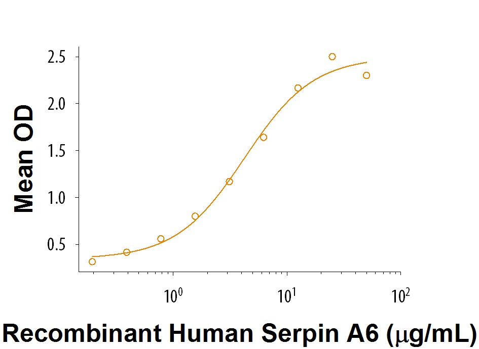 Recombinant Human Serpin A6 Protein Bioactivity