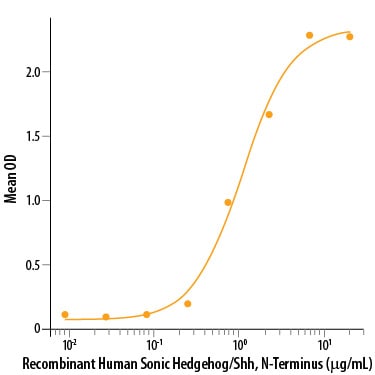 Recombinant Human Sonic Hedgehog/Shh, N-Terminus Protein Bioactivity