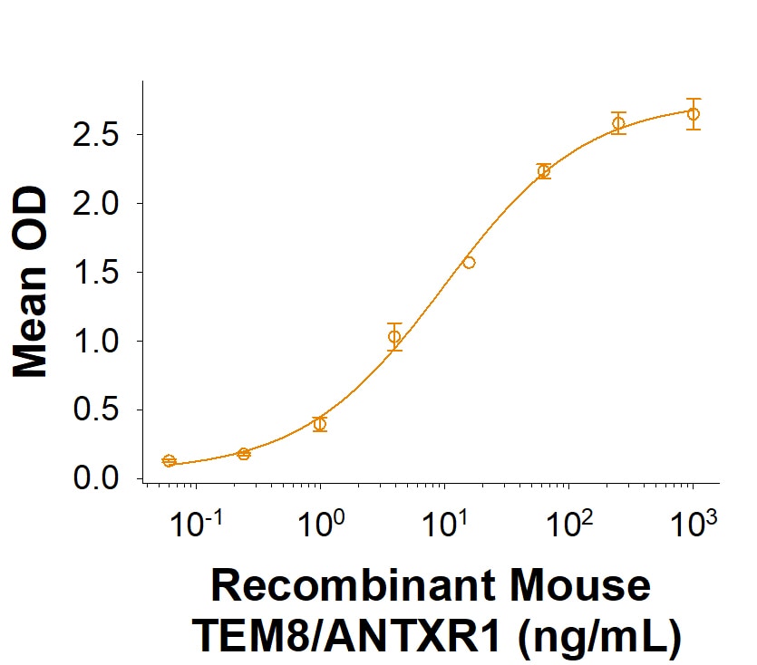 Recombinant Mouse TEM8/ANTXR1 Fc Chimera Protein Binding Activity