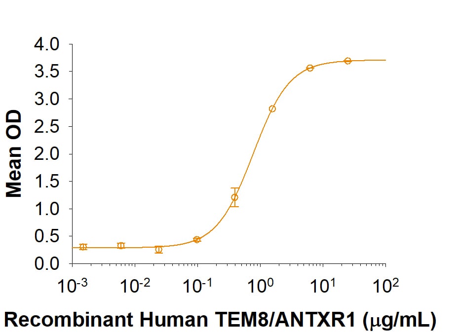 Recombinant Human TEM8/ANTXR1 His-tag Protein Binding Activity