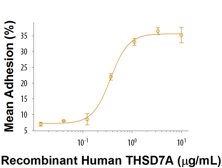 Recombinant Human THSD7A Protein Bioactivity