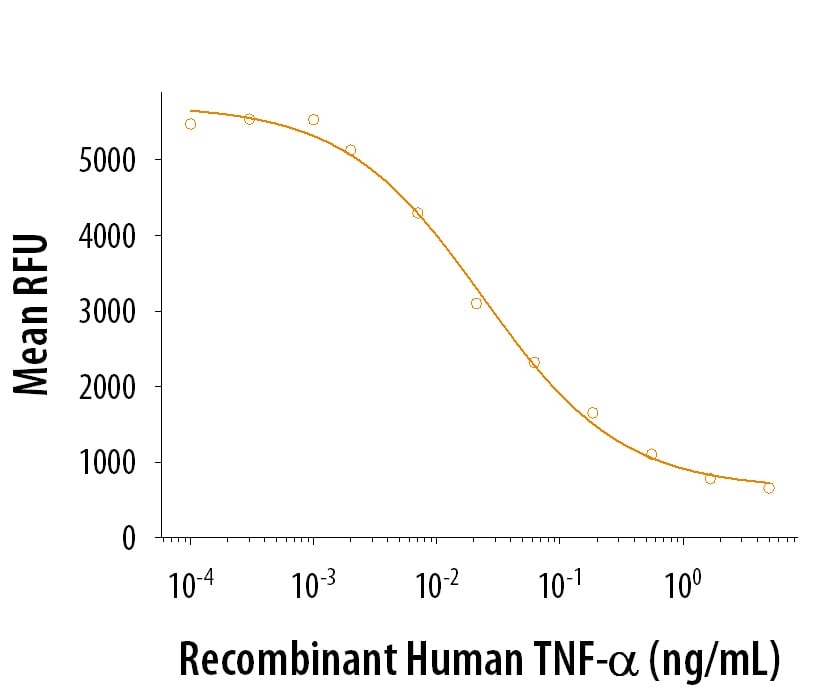 Recombinant Human TNF-alpha Protein Bioactivity
