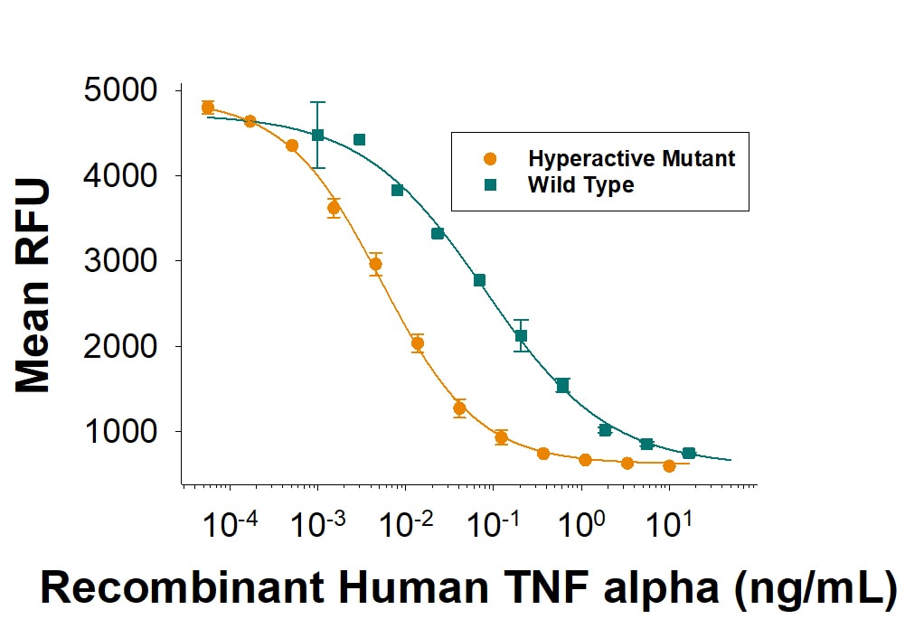 Recombinant Human TNF-alpha Hyperactive Mutant Protein Bioactivity