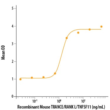 Recombinant Mouse TRANCE/RANK L/TNFSF11 (E. coli-expressed) Bioactivity