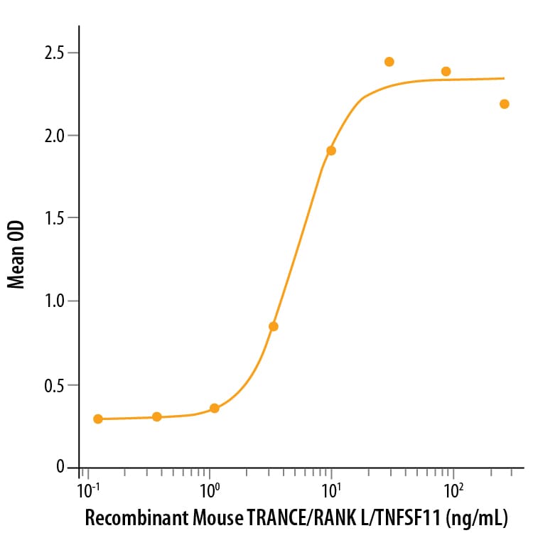 Recombinant Mouse TRANCE/RANK L/TNFSF11 Protein Bioactivity