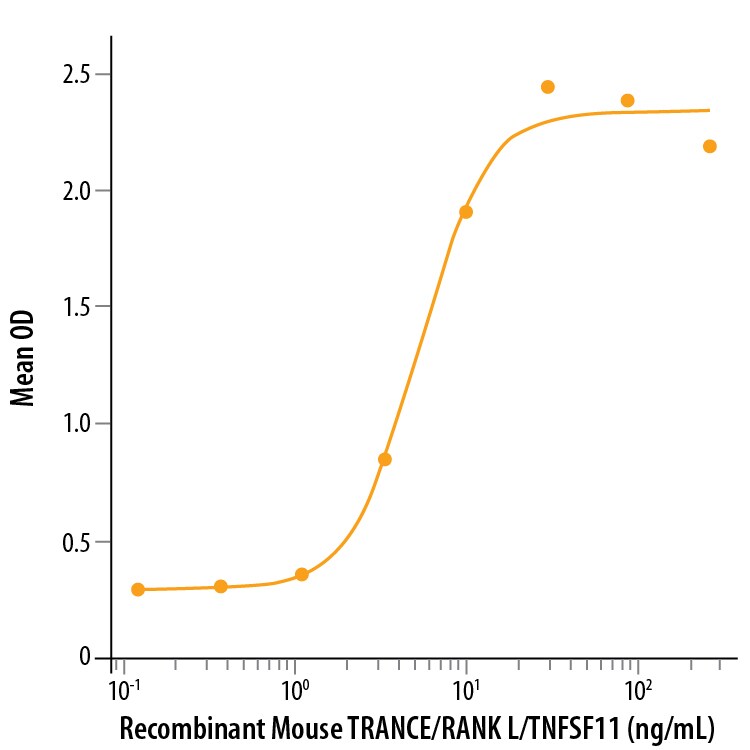 Recombinant Mouse TRANCE/RANK L/TNFSF11 Protein Bioactivity