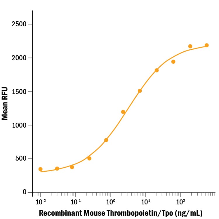 Recombinant Mouse Thrombopoietin Protein Bioactivity