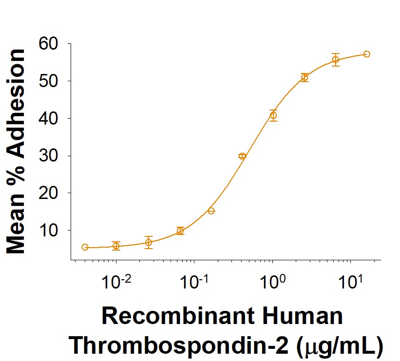 Recombinant Human Thrombospondin-2 Protein Bioactivity