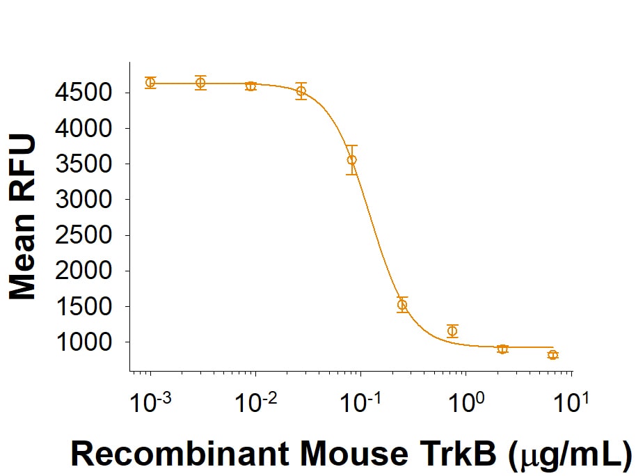 Recombinant Mouse TrkB Fc Chimera Protein Bioactivity