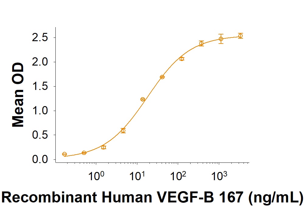 Recombinant Human VEGF-B 167 Protein Binding Activity
