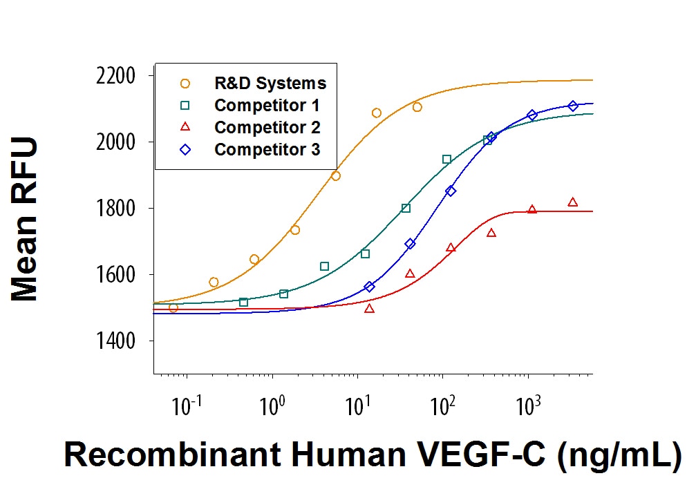 Recombinant Human VEGF-C Protein Bioactivity