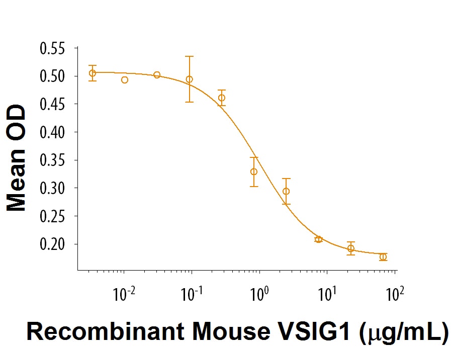 Recombinant Mouse VSIG1 Fc Chimera Protein Bioactivity