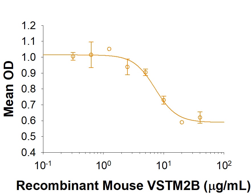 Recombinant Mouse VSTM2B Fc Chimera Protein Bioactivity