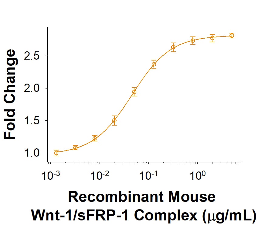 Recombinant Mouse Wnt-1/sFRP-1 Complex Protein Bioactivity