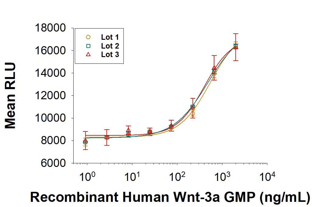 Recombinant Human Wnt-3a GMP Protein Bioactivity