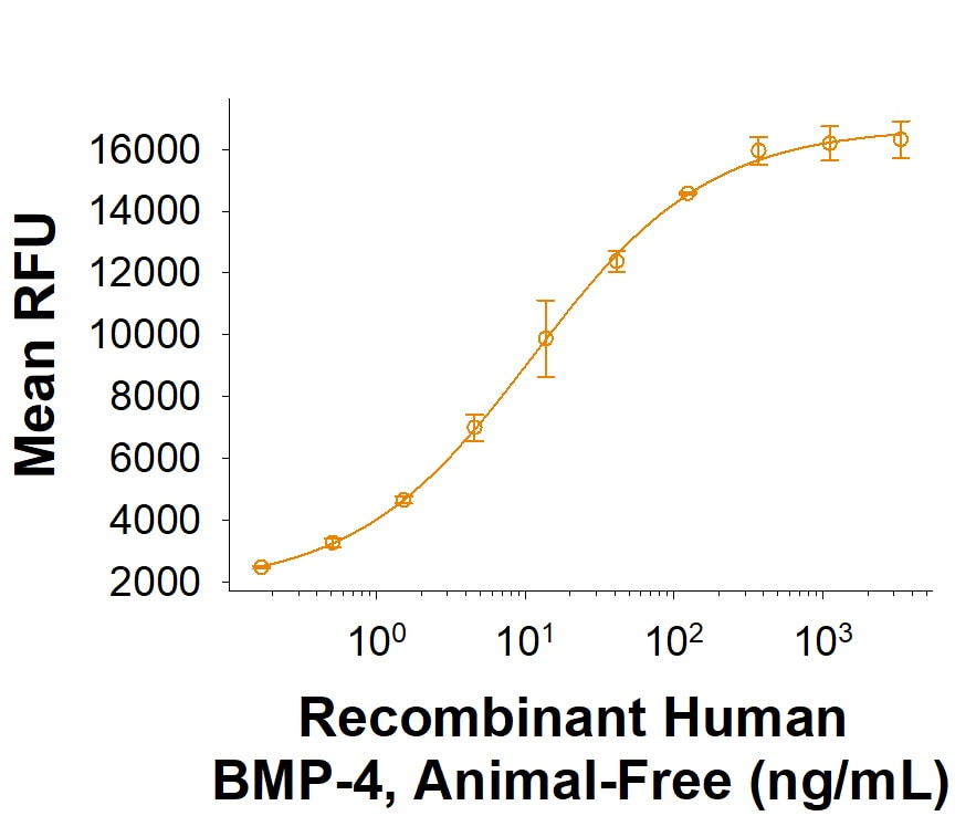 Recombinant Human BMP-4 Animal-Free Protein Bioactivity