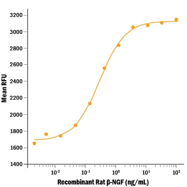 Recombinant Rat beta-NGF Protein Bioactivity