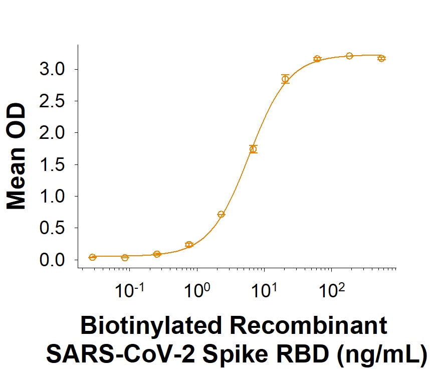 Recombinant SARS-CoV-2 Spike RBD His Biotin Protein Bioactivity