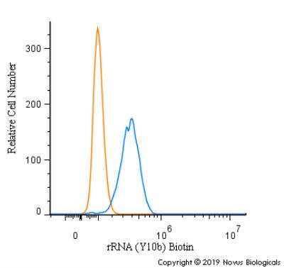 Flow Cytometry: rRNA Antibody (Y10b) - BSA Free [NB100-662]