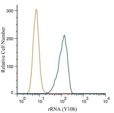 Flow (Intracellular): rRNA Antibody (Y10b) - BSA Free [NB100-662]