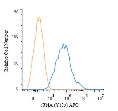Flow (Intracellular): rRNA Antibody (Y10b) - BSA Free [NB100-662]