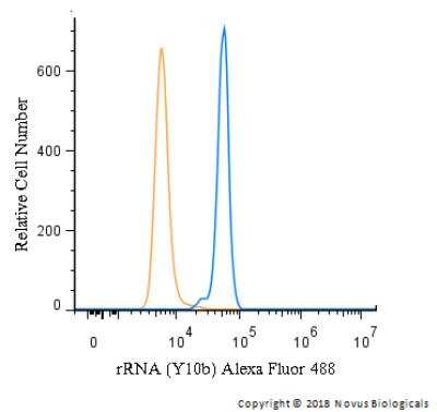 Flow (Intracellular): rRNA Antibody (Y10b) - BSA Free [NB100-662]