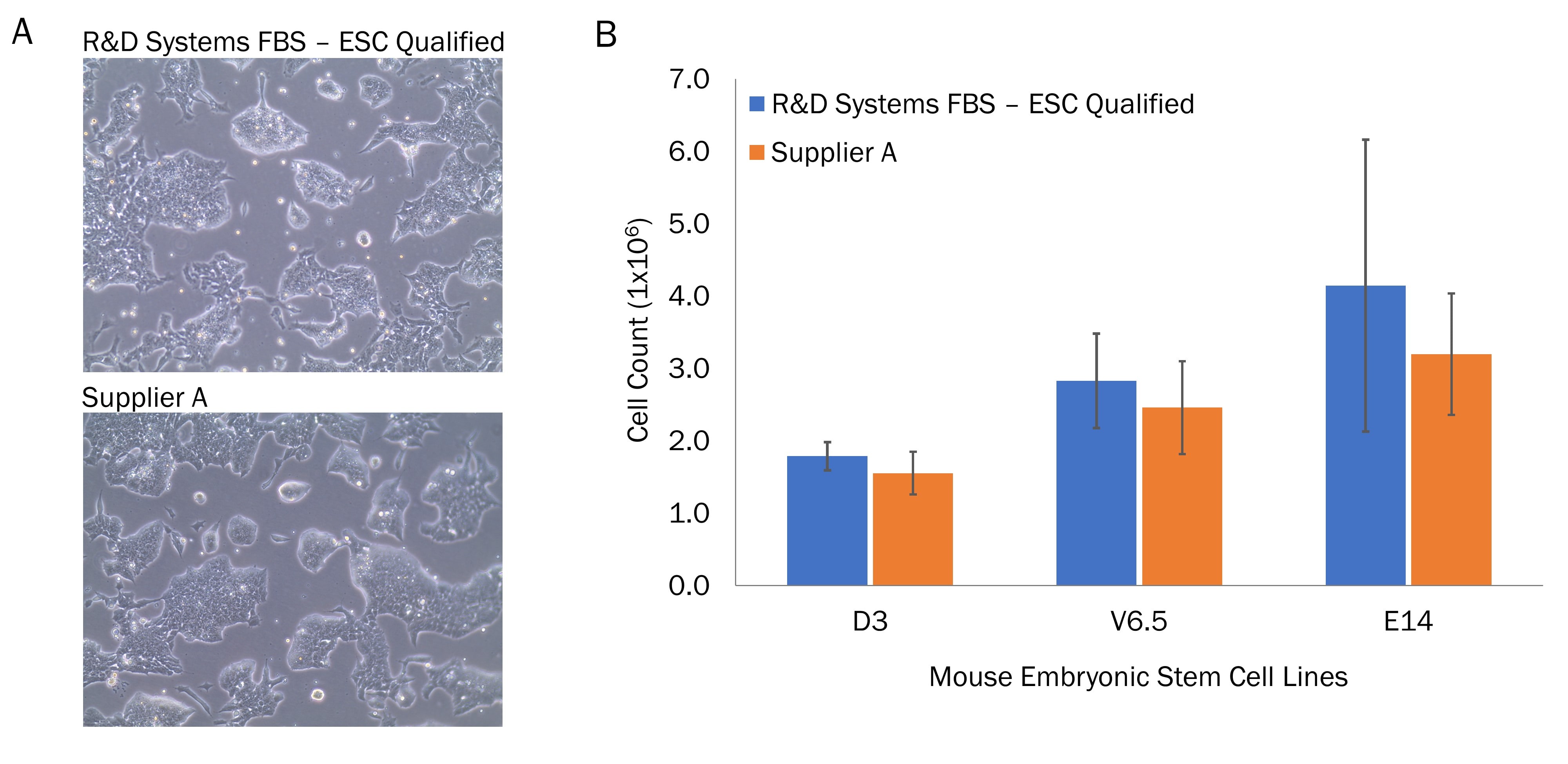 R&D Systems Embryonic Stem Cell Qualified FBS Performance Compared to Alternative Supplier.
