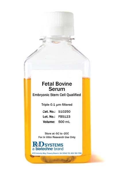 Fetal Bovine Serum - Embryonic Stem Cell Qualified