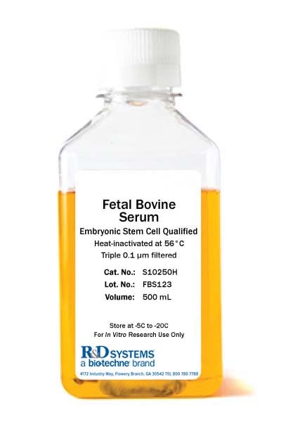 Fetal Bovine Serum - Embryonic Stem Cell Qualified, Heat Inactivated