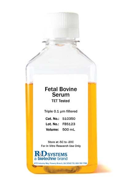 Fetal Bovine Serum - TET Tested