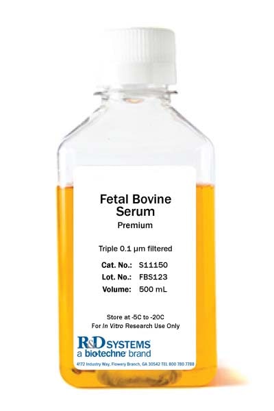 Fetal Bovine Serum - Premium
