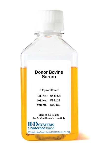 Donor Bovine Serum