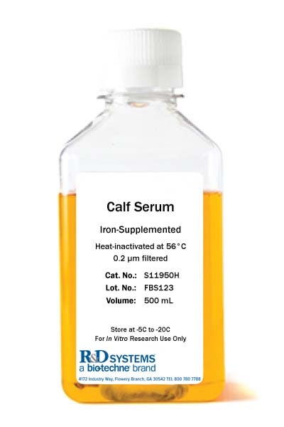 Iron-Supplemented Calf Serum, Heat Inactivated