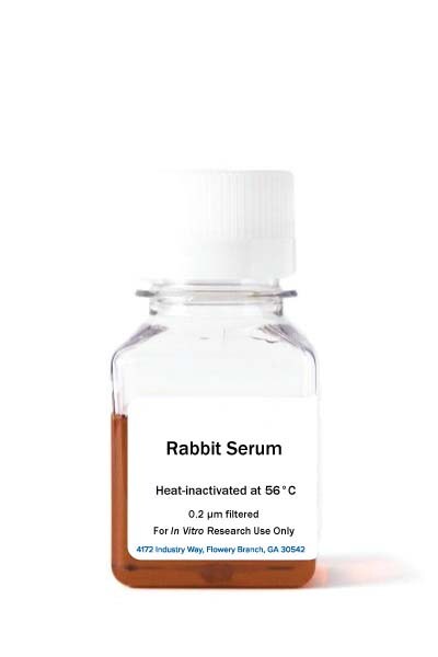 Rabbit Serum, Heat Inactivated