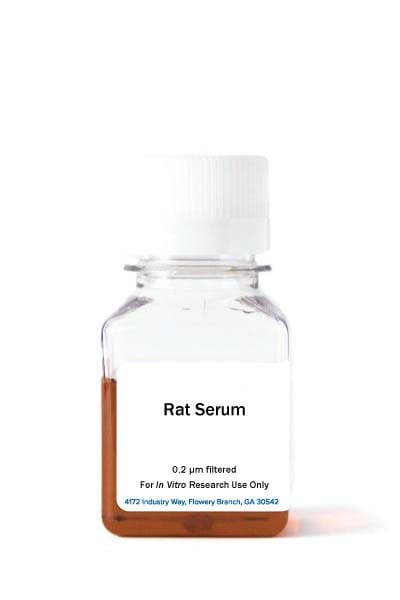 Rat Serum