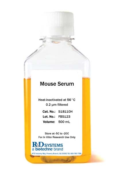 Mouse Serum, Heat Inactivated