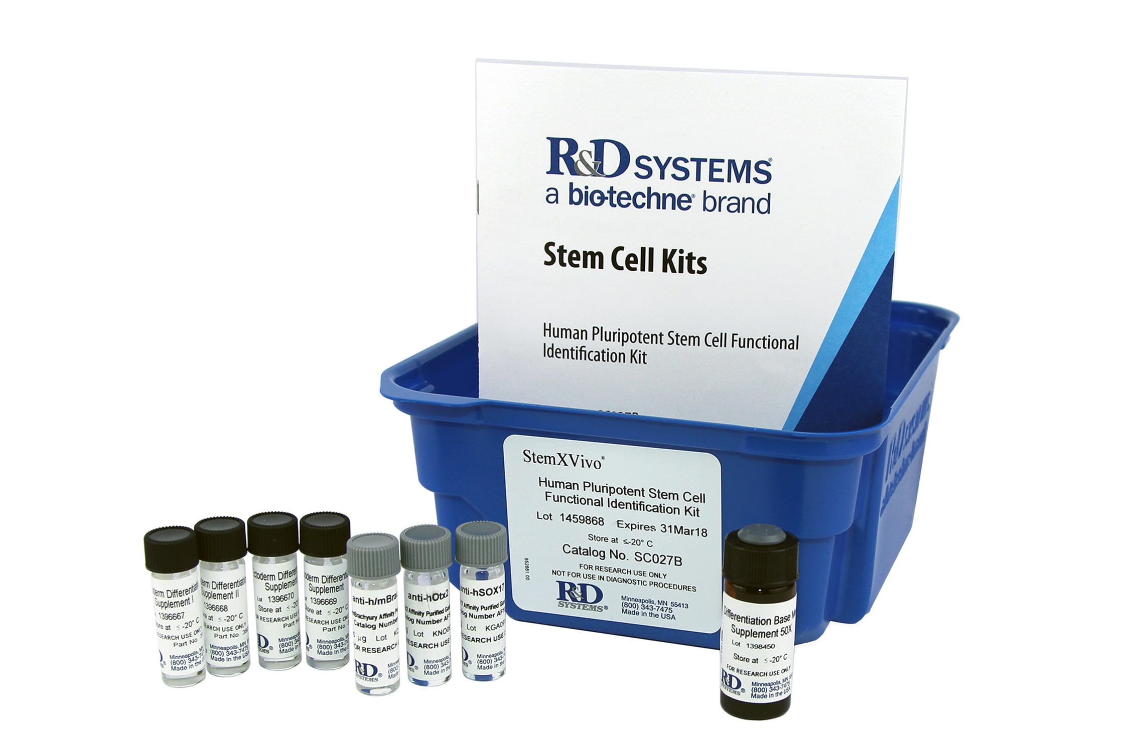 StemXVivo Endoderm Kit