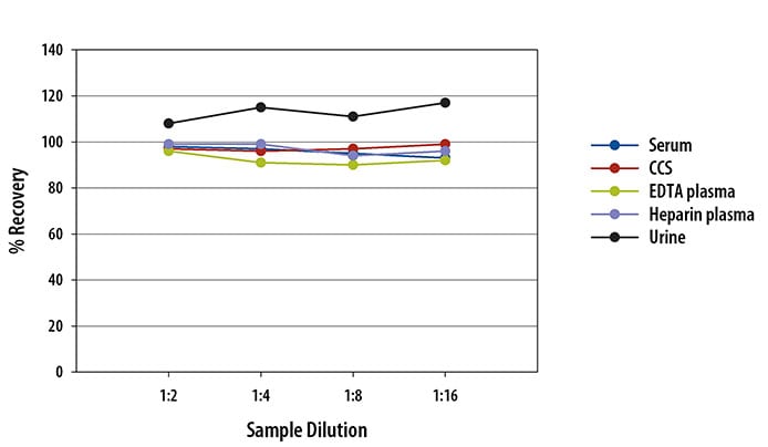 Simple Plex Mouse TIM-1/KIM-1/HAVCR Assay Linearity