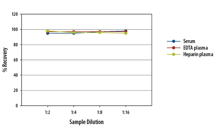 Simple Plex Human OPG Assay Linearity