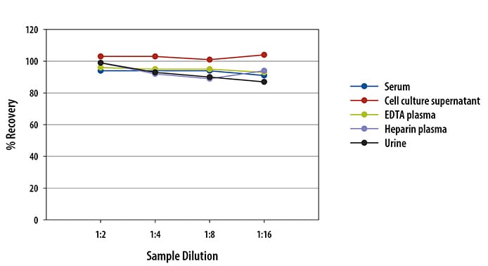 Simple Plex Human Vitamin D BP Assay Linearity