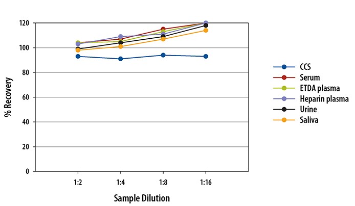Simple Plex Human TIMP-2 Assay Linearity