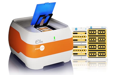 Human UCH-L1 Ella Assay