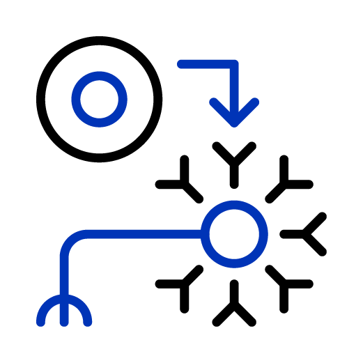 Stem Cell Differentiation
