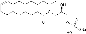 Endogenous agonist of LPA1 and LPA2